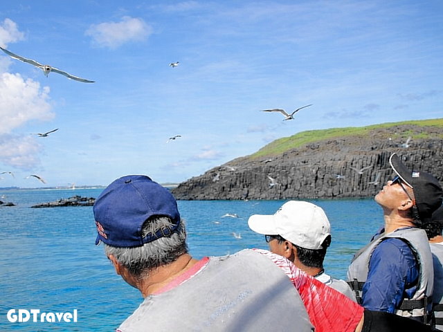 晶翔號東海一日漁夫體驗圖片4