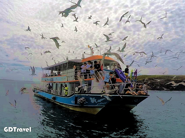 新來發東海一日遊圖片2